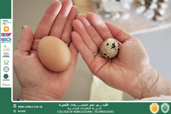 مقالة علمية للتدريسي أ.د ثامر كريم خضير بعنوان الأهمية الغذائية لبيض السمان
