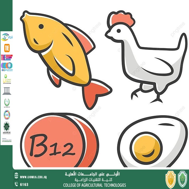 مقالة للتدريسي أ.د ثامر كريم خضير بعنوان تكامل تربية الأسماك والدجاج لتحقيق الأمن الغذائي وتقليل الأثر البيئي