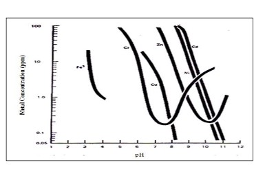 default image