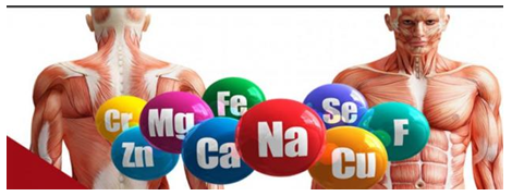 Scientific article for teaching M.Sarah Abd AL-Raheem Ali entitled: -Body Chemistry