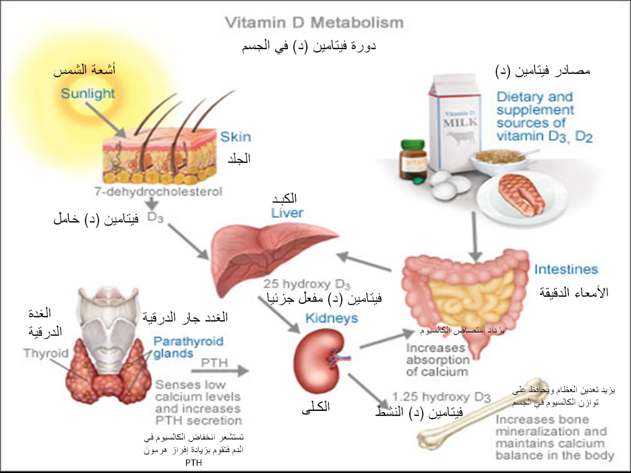 default image