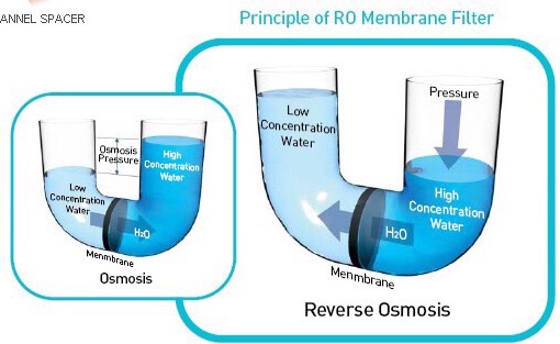 default image