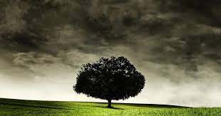 “Shylock is the loser anyway” An essay by :   Muslim Mohd. Al-Mamouri and Dhafar Bassim Ali