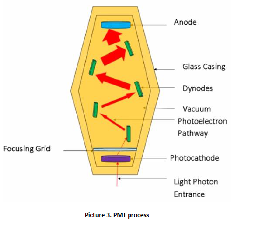 GAMMA CAMMERA