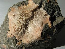 الزيوليت  (Zeolite)