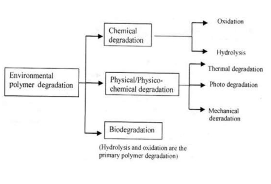Degradability in Polymers