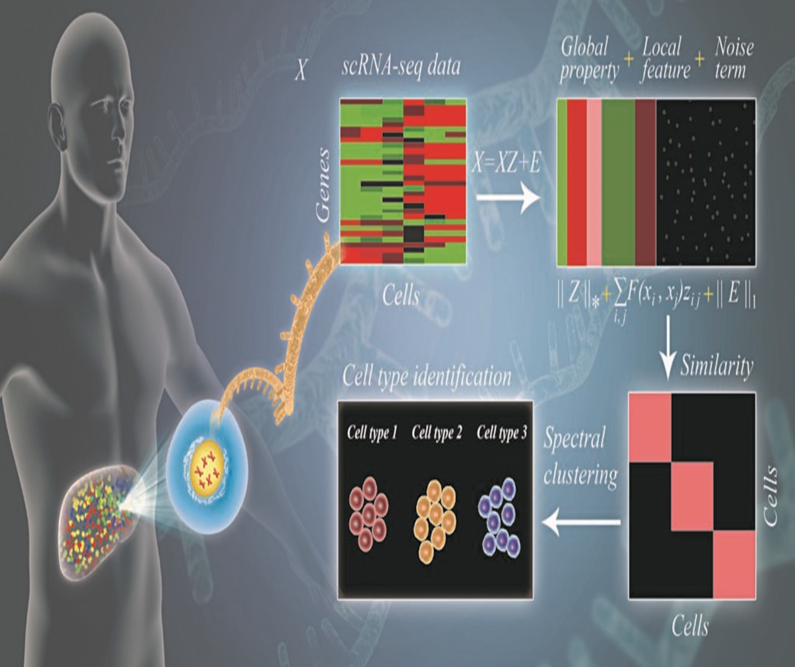 Bioinformatics