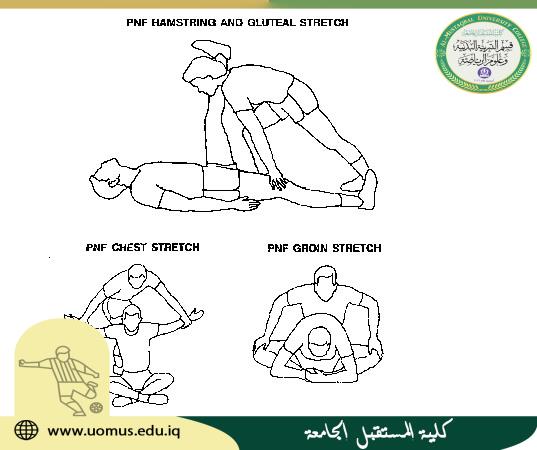 مقالة علمية للتدريسي ( م.د فاضل محمد عبس ) بعنوان تقنية التسهيلات العصبية العضلية  (( PNF ))
