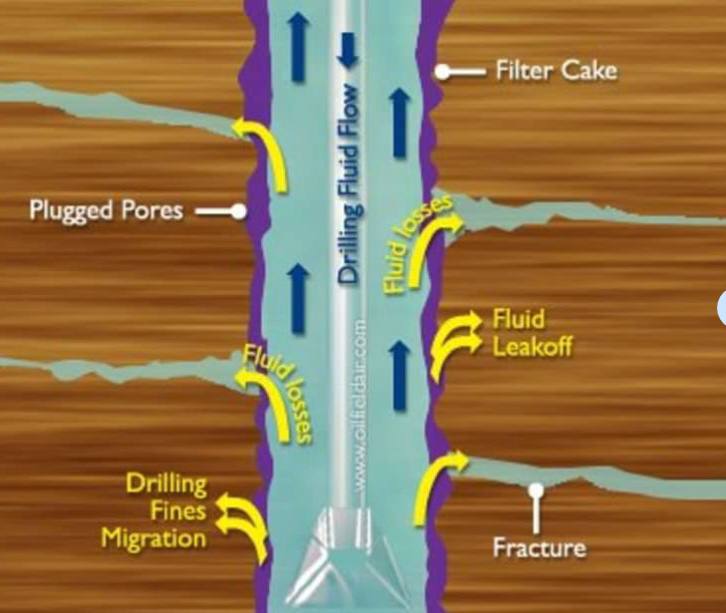 A teaching article in the Department of Chemical Engineering and Petroleum Industries, M.M. Russel Ahmed, entitled “Assessing training in oil fields”