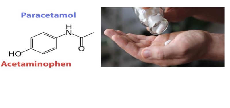 A scientific article by Dr. Hanadi Hadi entitled PARACETAMOL POISONING