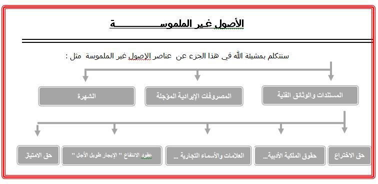 الاصول غير الملموسه 