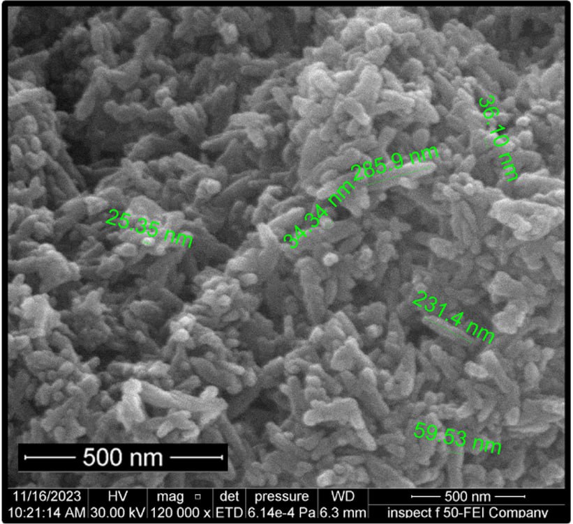 Nanotechnology and its importance in osseointegrated prosthetics.