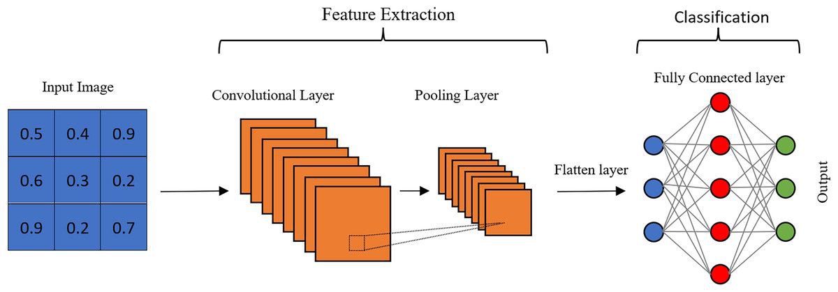 default image