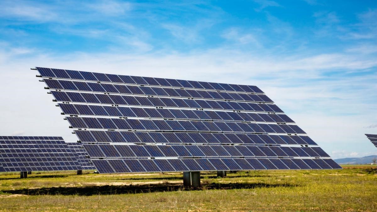  “Advancing Towards a Sustainable and Eco-Friendly  Al-Mustaqbal University"”