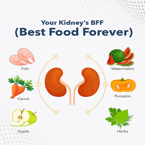 Diet and Kidney Stone Formation