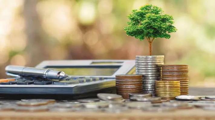 دور الضريبة البيئية في التنمية المستدامة