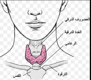 A scientific article by the lecturer, A. L. Muhaymen Samir Arif, entitled (Thyroid gland diseases and their effect on the eye)