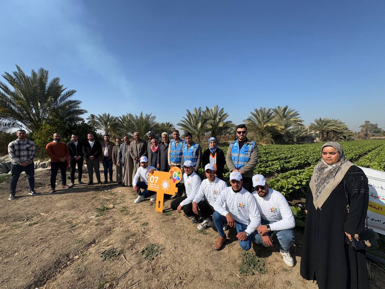 فريق الاستدامة يزور حقل محصول الخس لدعم مشروع الري الحديث تحقيقا للهدف السابع من اهداف التنمية المستدامة(طاقة نظيفة بأسعار معقولة)
