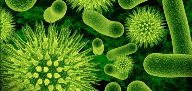 مقالة علمية للانسة نور الهدى عزمي بعنوان " مستقبل علم الفيروسات في مكافحة الأمراض الوبائية "