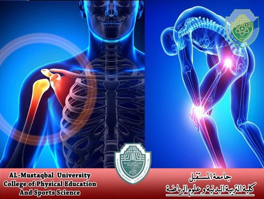 مقالة علمية حول " طرق الوقاية من اصابات النشاط البدنى " للدكتورة بسنت محمد ابوالفضل عطالله