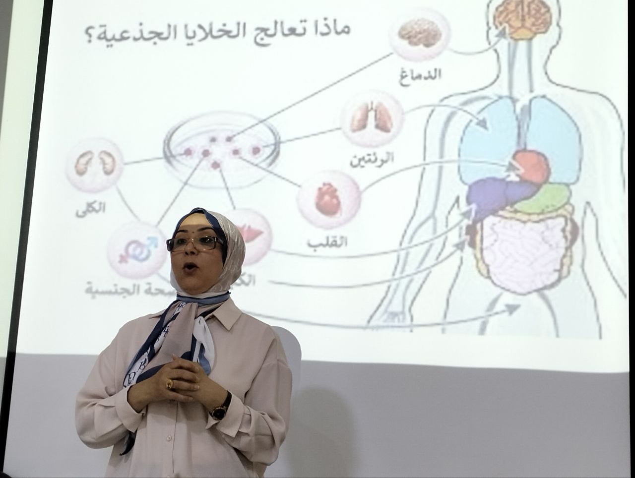 Stem cells and their role in regenerating body cells