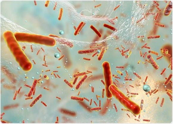 Bacterial Biofilms:مقالة علمية ل (أ.د. حسنين خليل ابراهيم) بعنوان   