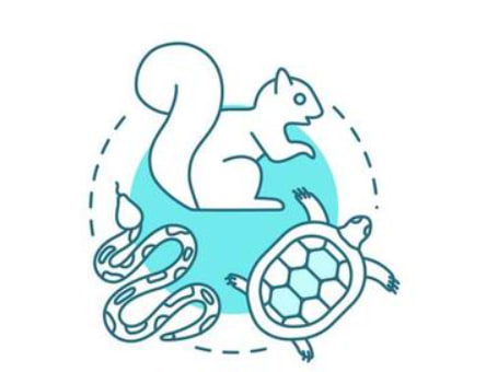 بيولوجيا الحيوانات Animal biology