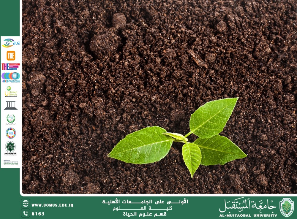 A scientific article by Ms. Noor Al-Huda Azmi Hassan entitled "The relationship between plants and the environment"
