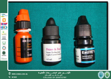 Adhesion in Dentistry