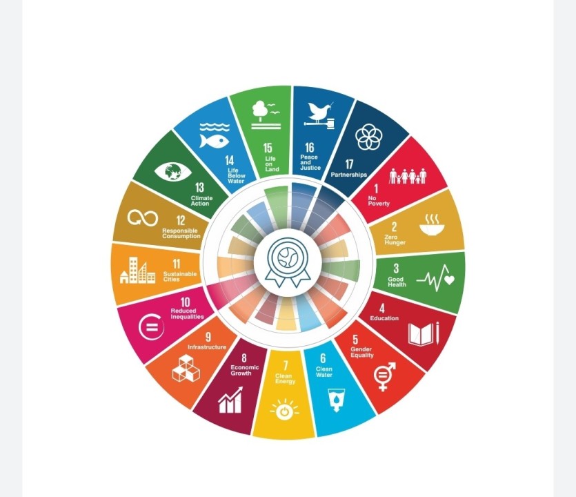 How Programming Contributes to Sustainable Development (Mahmoud Shaker Mahmoud)
