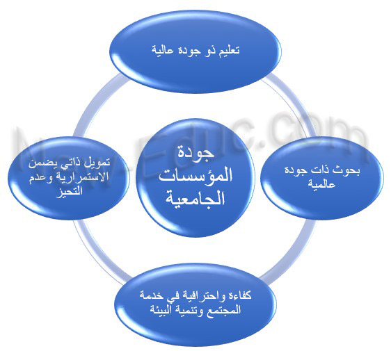 معايير الجودة في الجامعات: أسس التميز الأكاديمي والتطوير المستدام