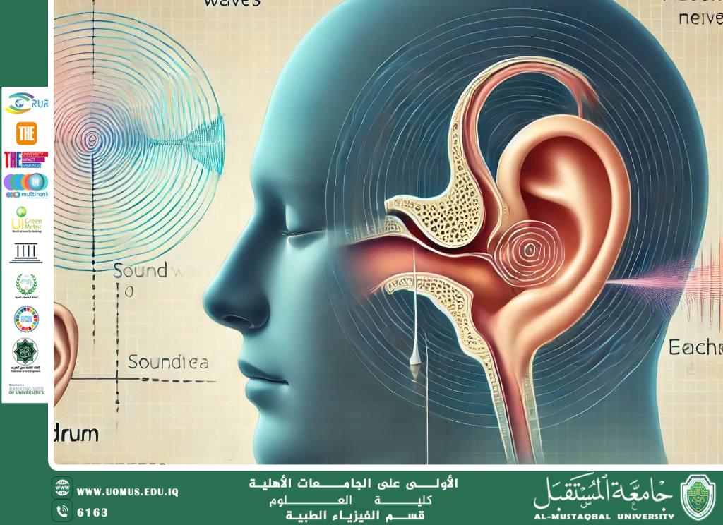 مقالة علمية للمعيد (محمد عبد الزهره) بعنوان " الصوت والموجات: كيف نسمع الأصوات ولماذا تختلف النغمات"
