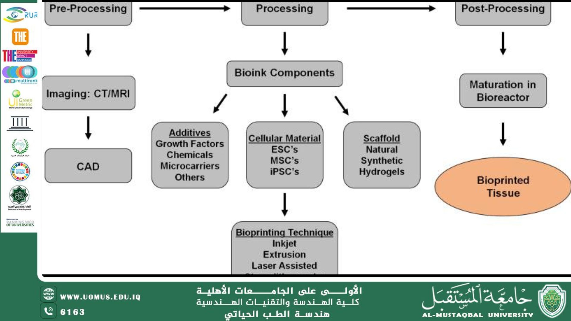 مقالة علمية بعنوان " 3D Printing Technologies in Tissue Engineering and Organ Transplantation" للمهندس محمد عبدالكريم رزوقي