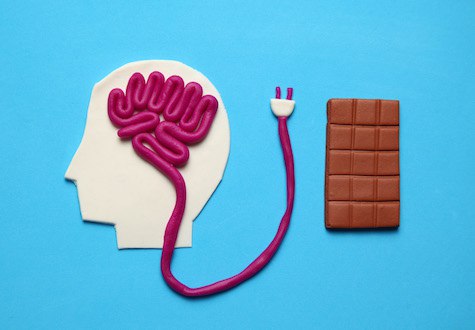 “A scientific article for the instructor (Dr. Sara Kamel Abboud) titled”The effect of processed sugars on the brain How does sugar influence our brain,,