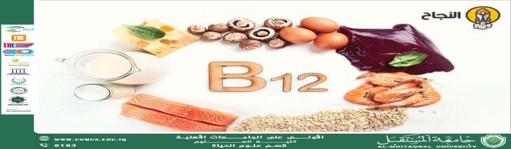 A scientific article by the lecturer (Msc. Ali Kumait Hamad) entitled "The Relationship Between Vitamin B12 and Student Mental Health"