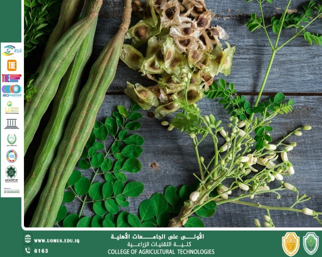 مقالة علمية للتدريسي أ.د مجيد كاظم عباس بعنوان شجرة المعجزة