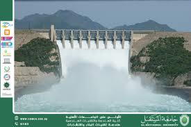 Dam Design: Factors Affecting Its Sustainability and Safety