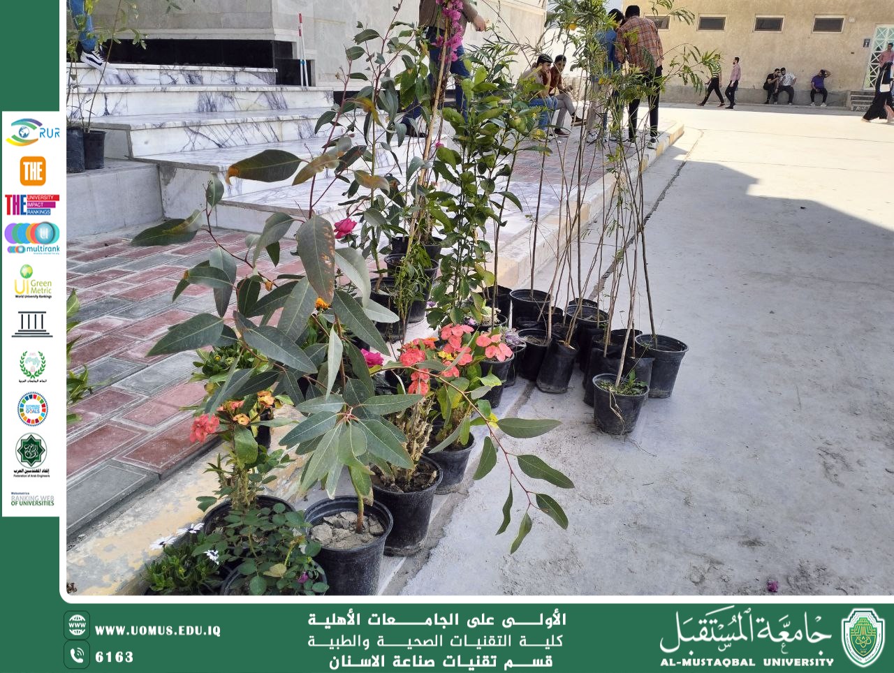 التشجير: أهميته ودوره في تحقيق الاستدامة البيئية