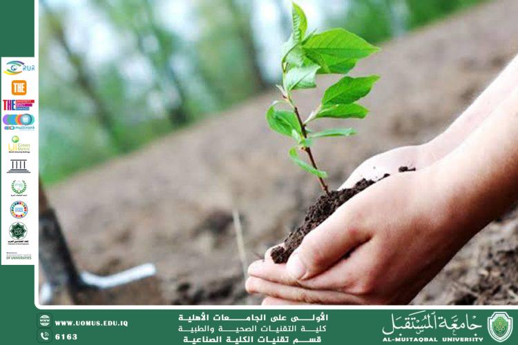 The Importance of Afforestation in Protecting the Environment