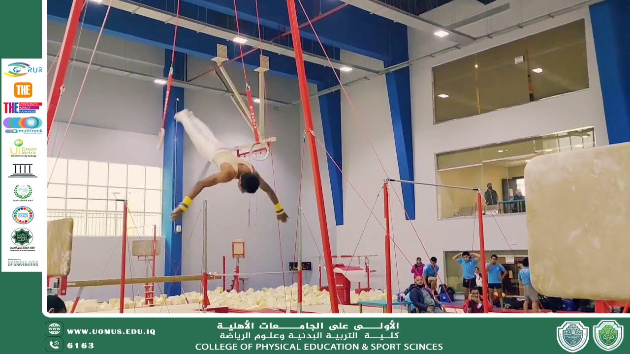 Shoulder joint injury and its relationship to the performance of the swing and rotation movement skill on the rings apparatus in artistic gymnastics