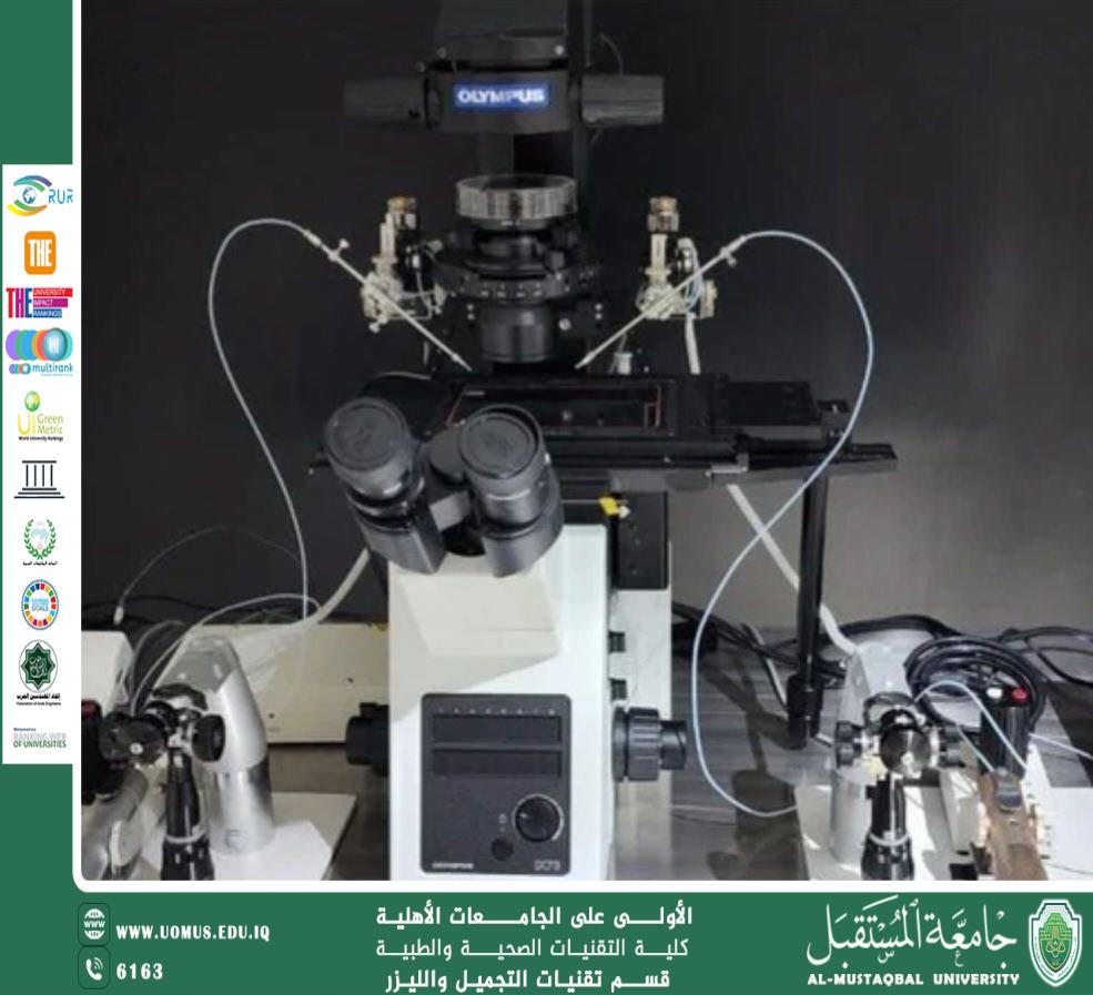 The use of artificial intelligence (AI) techniques in IVF