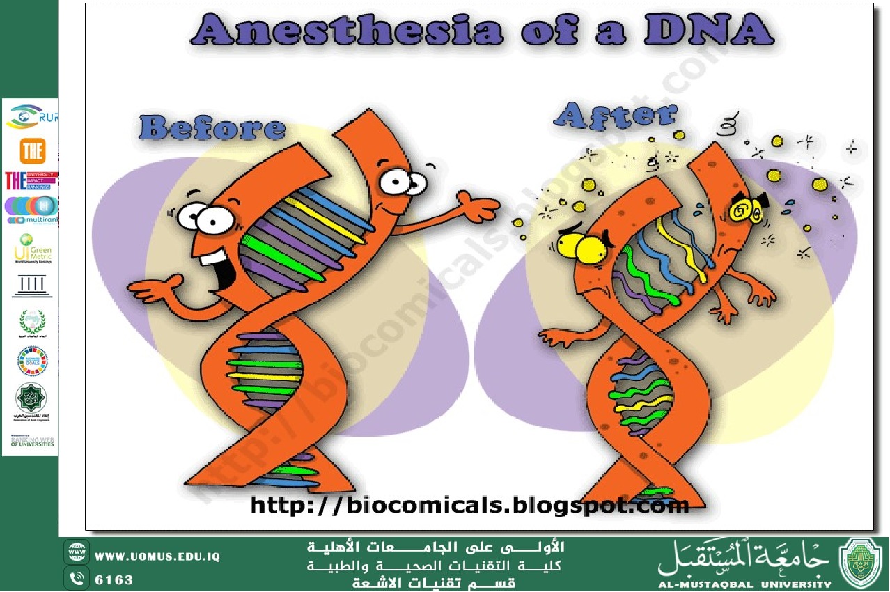 A scientific article entitled "Neuroanaesthesia as a general anesthetic causes DNA damage" by lecturer Nour Sabah Jabr