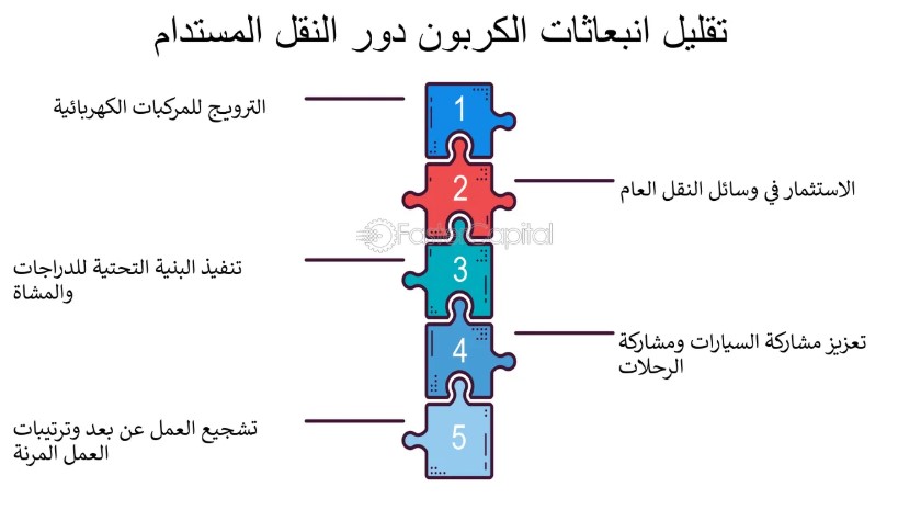 الاستدامة في قطاع النقل: نحو مستقبل منخفض الانبعاثات