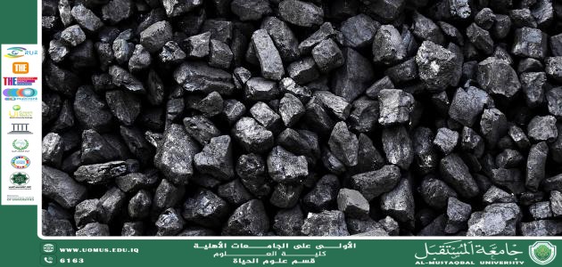 مقالة علمية للانسة نور الهدى عزمي حسن بعنوان " أثر تصنيع الفحم في المناطق السكنية على البيئة والصحة العامة" 