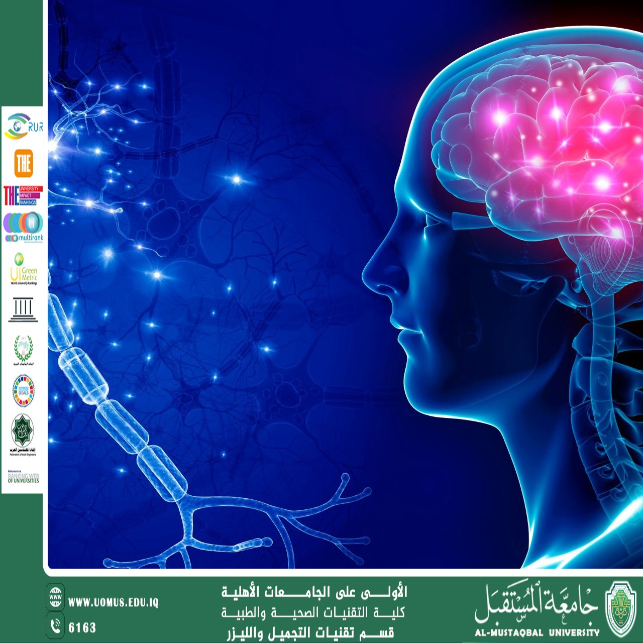 مقالة علمية للست شهد نورس بعنوان كيف يتعلم الدماغ؟ نظرة علمية على عملية التعلم