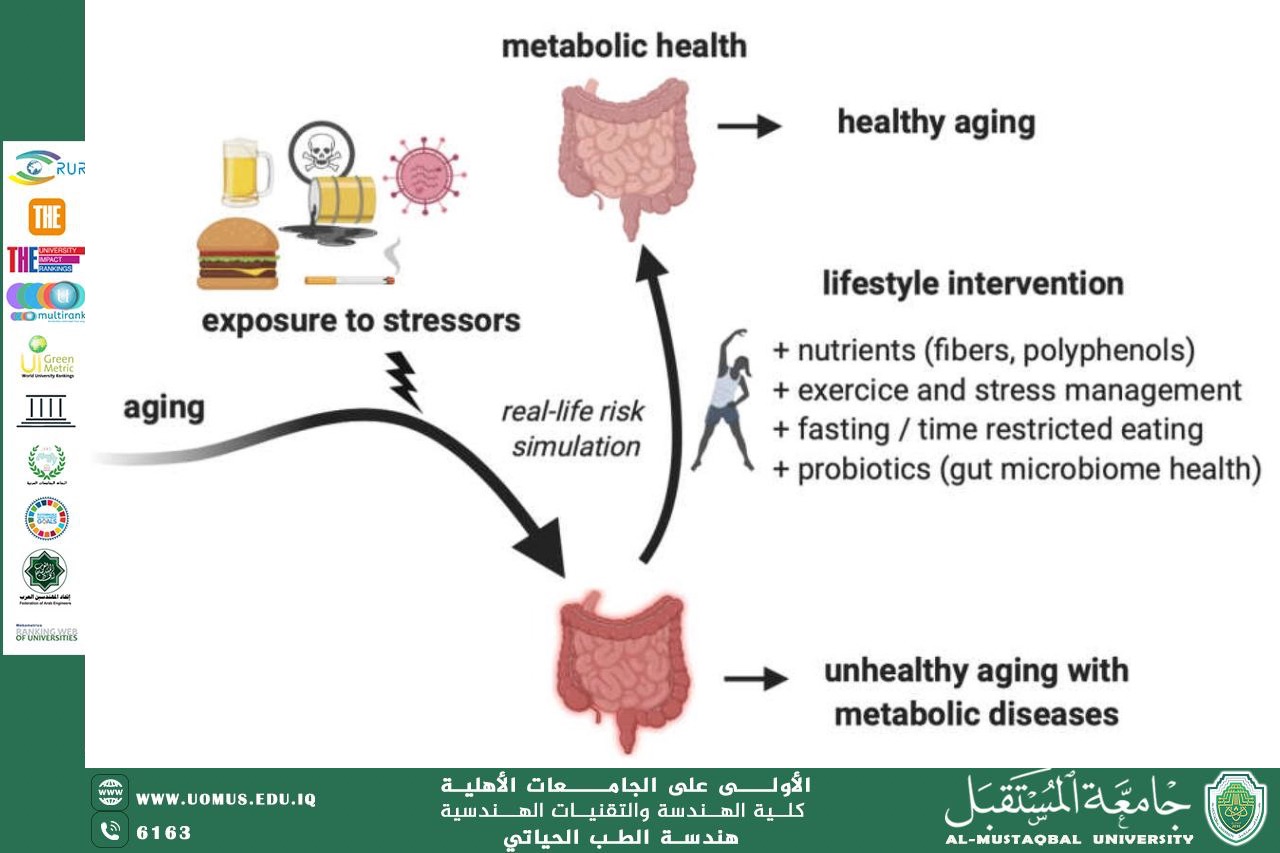 مقالة بعنوان "The relationship between diet and chronic inflammation"للمهندس محمد عبد الكريم رزوقي 