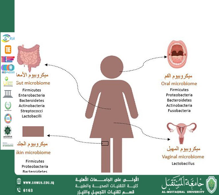  مقالة علمية للست شهد نورس بعنوان الميكروبيوم البشري ودوره في الصحة العامة