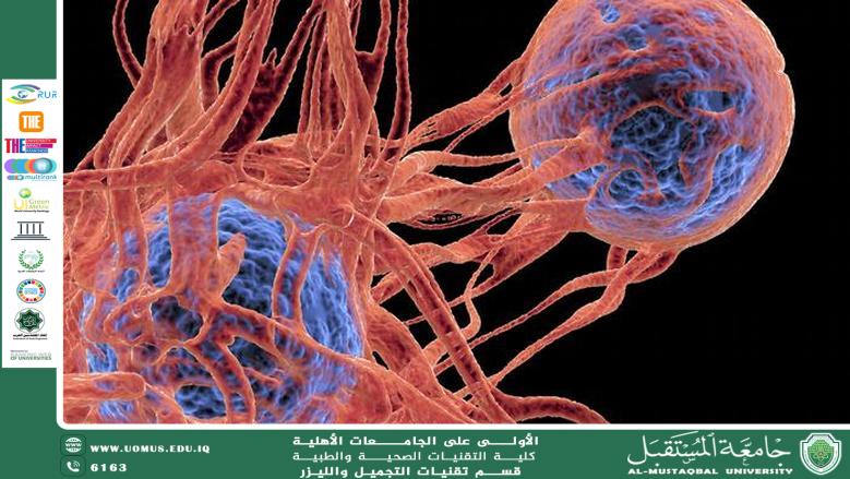 مقاله علميه للست هدى رافد عبد الخالق بعنوان دور الطفرات الجينية الموروثة في تطور الأورام