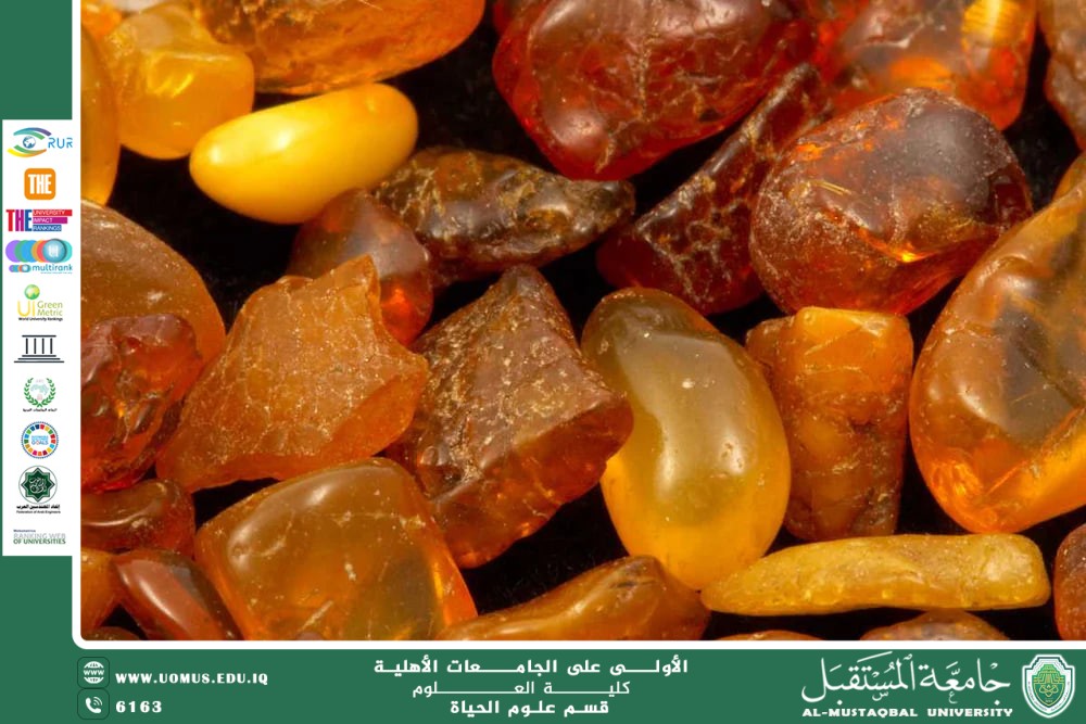 مقالة علمية للدكتورة رغده حميد جاسم بعنوان اليوم العالمي لصحة المرأة