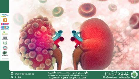 Chronic Kidney Disease (CKD): Challenges and Therapeutic Prospects